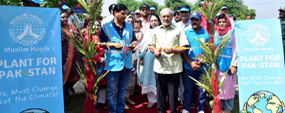 Tree plantation at PU